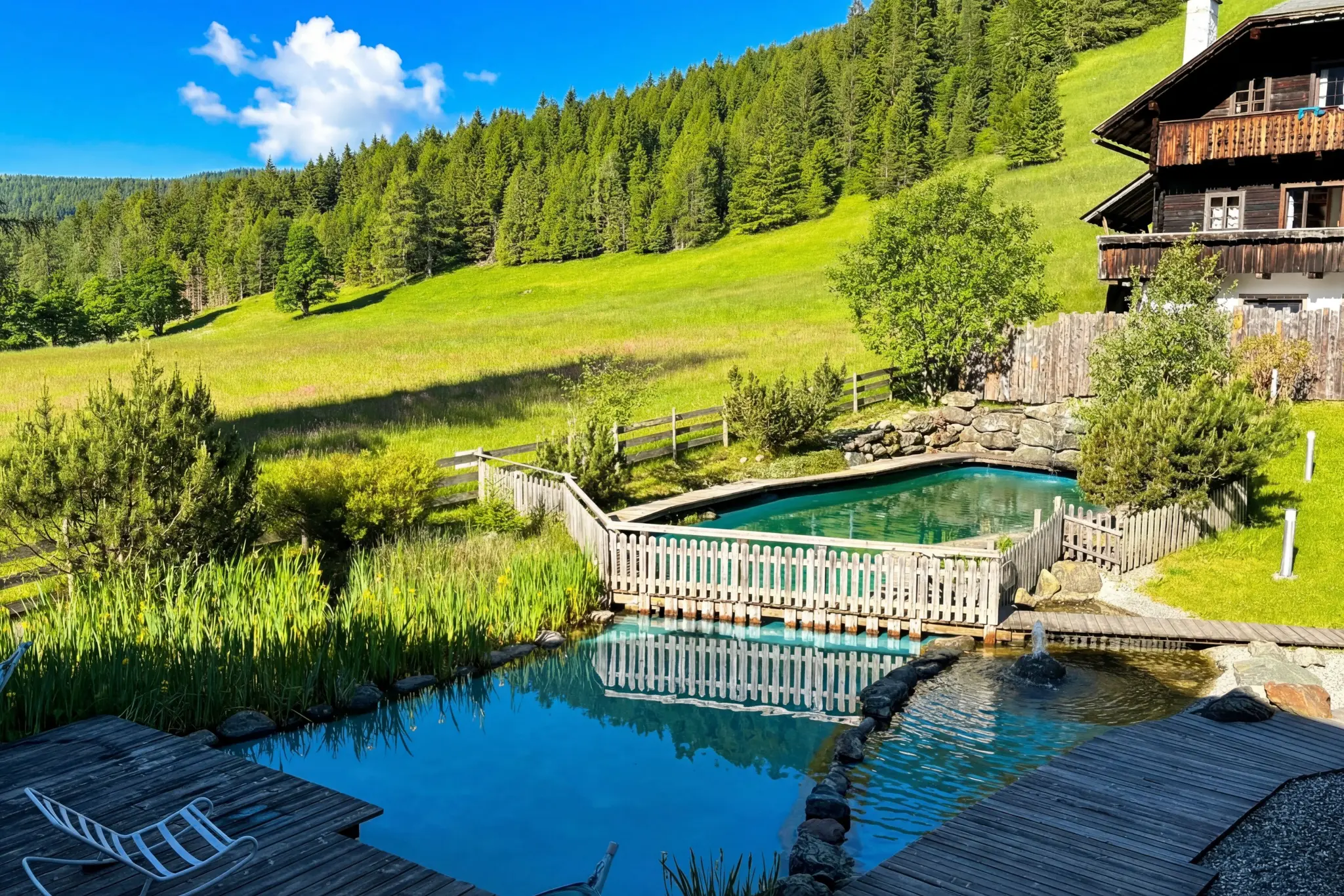 Naturbadeteich MountainView Lodge Sankt Oswald — Sommer in der Kärnten